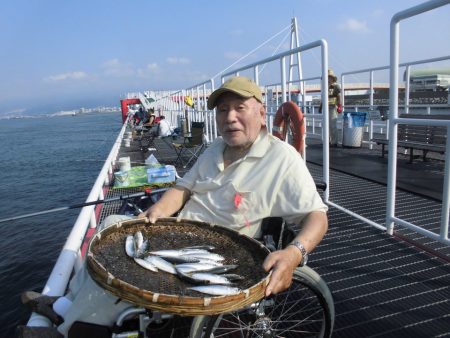 尼崎市立魚つり公園 釣果