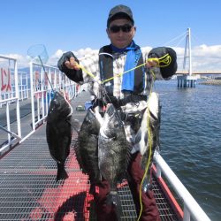 尼崎市立魚つり公園 釣果