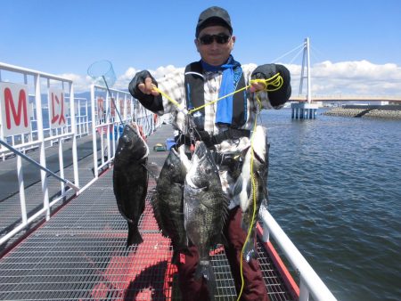 尼崎市立魚つり公園 釣果