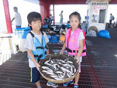 尼崎市立魚つり公園 釣果