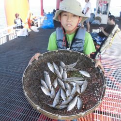 尼崎市立魚つり公園 釣果