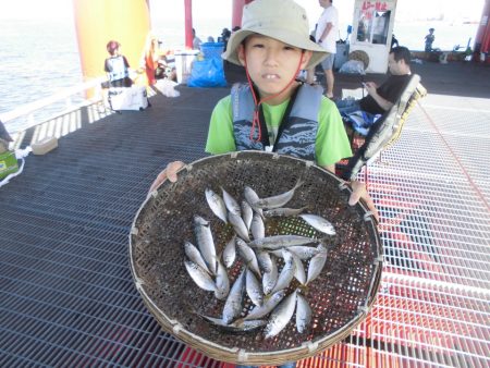 尼崎市立魚つり公園 釣果