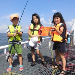 尼崎市立魚つり公園 釣果