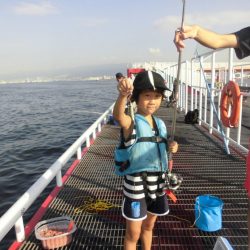 尼崎市立魚つり公園 釣果