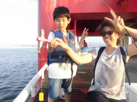 尼崎市立魚つり公園 釣果