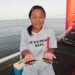 尼崎市立魚つり公園 釣果