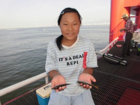 尼崎市立魚つり公園 釣果