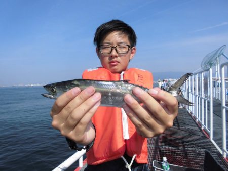 尼崎市立魚つり公園 釣果