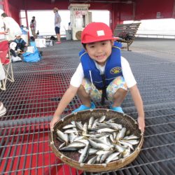 尼崎市立魚つり公園 釣果