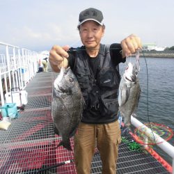 尼崎市立魚つり公園 釣果