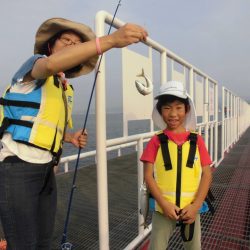 尼崎市立魚つり公園 釣果