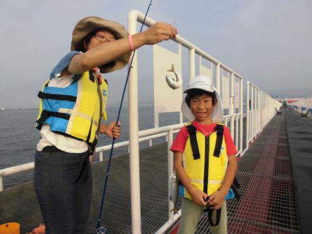 尼崎市立魚つり公園 釣果