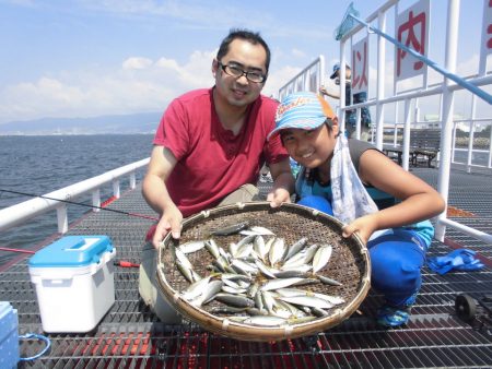 尼崎市立魚つり公園 釣果
