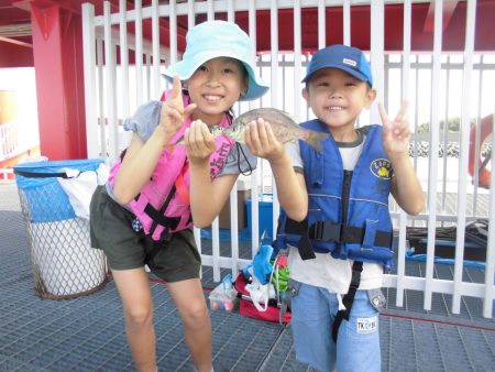 尼崎市立魚つり公園 釣果