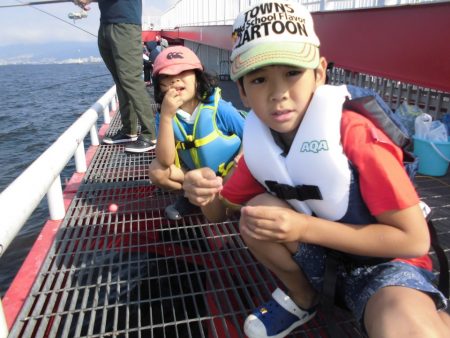 尼崎市立魚つり公園 釣果