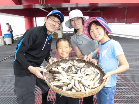 尼崎市立魚つり公園 釣果