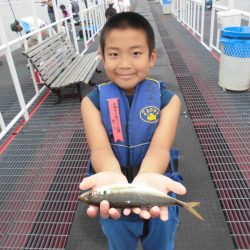 尼崎市立魚つり公園 釣果