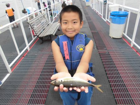 尼崎市立魚つり公園 釣果