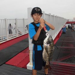 尼崎市立魚つり公園 釣果