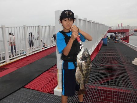 尼崎市立魚つり公園 釣果