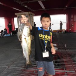 尼崎市立魚つり公園 釣果