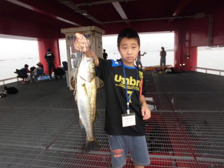 尼崎市立魚つり公園 釣果