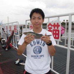 尼崎市立魚つり公園 釣果