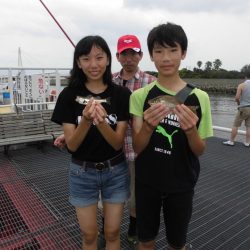 尼崎市立魚つり公園 釣果