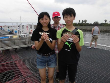 尼崎市立魚つり公園 釣果