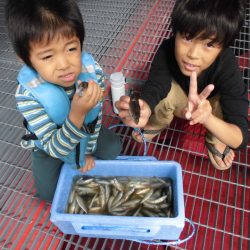 尼崎市立魚つり公園 釣果