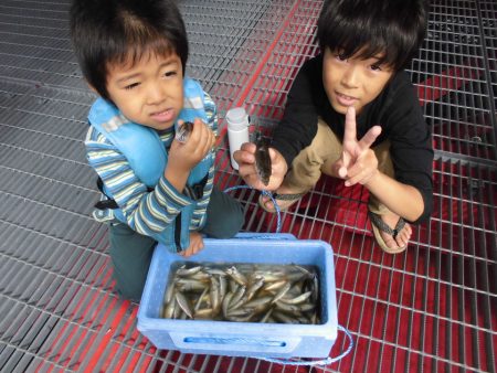 尼崎市立魚つり公園 釣果