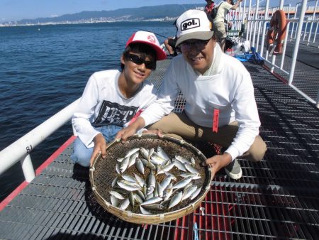 尼崎市立魚つり公園 釣果