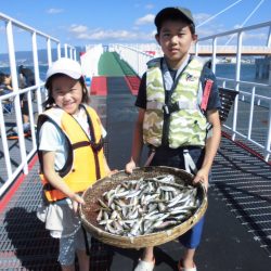 尼崎市立魚つり公園 釣果