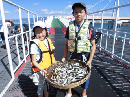 尼崎市立魚つり公園 釣果