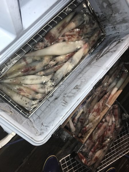 寿裕 （YOSHIHIRO） 釣果