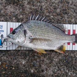 へち釣り講座を受けながら