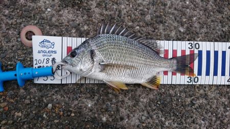 へち釣り講座を受けながら