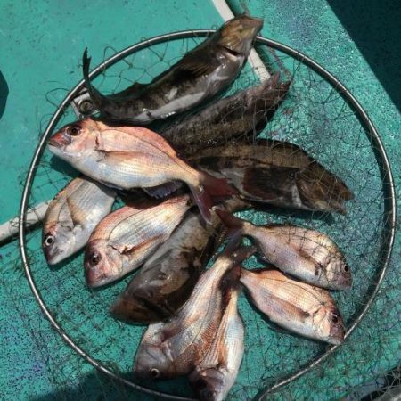 大貫丸 釣果