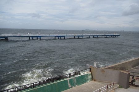オリジナルメーカー海づり公園(市原市海づり施設) 釣果
