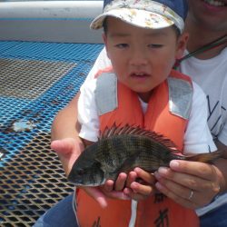 オリジナルメーカー海づり公園(市原市海づり施設) 釣果