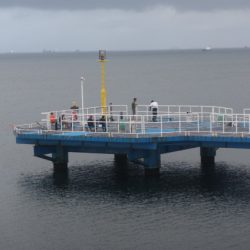 オリジナルメーカー海づり公園(市原市海づり施設) 釣果