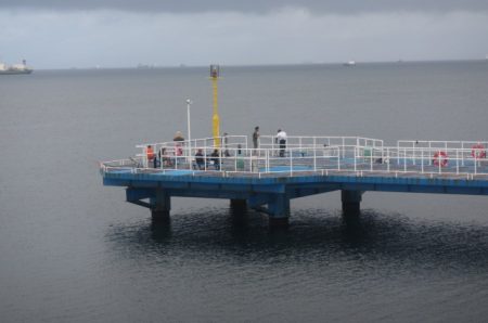 オリジナルメーカー海づり公園(市原市海づり施設) 釣果