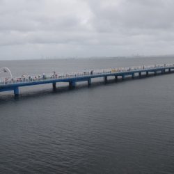 オリジナルメーカー海づり公園(市原市海づり施設) 釣果