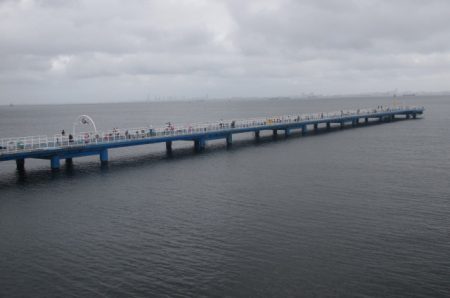 オリジナルメーカー海づり公園(市原市海づり施設) 釣果
