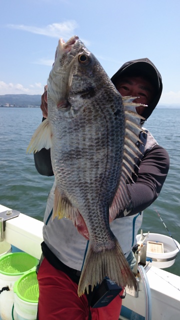 海晴丸 釣果