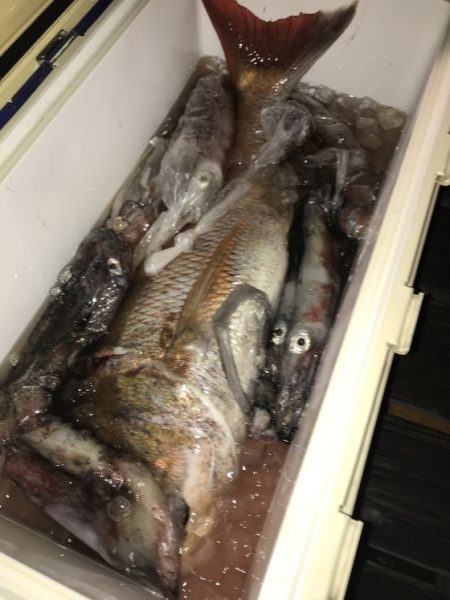 寿裕 （YOSHIHIRO） 釣果