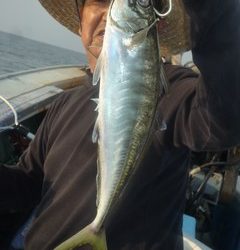 松福丸 釣果