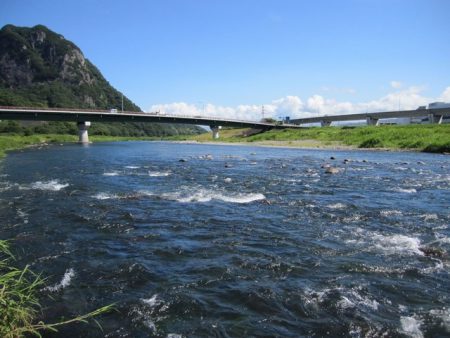 狩野川（狩野川漁業協同組合） 釣果