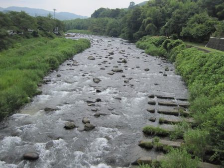 狩野川(狩野川漁業協同組合) 釣果
