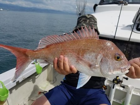 遊漁船　ニライカナイ 釣果